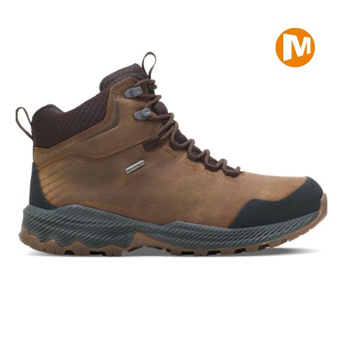 Pánské Trekové Boty Merrell Forestbound Mid Waterproof Hnědé (CZ. CGKHZ)